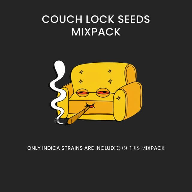 Couch Lock Mixpack cannabis seeds packaging — Royal King Seeds Australia