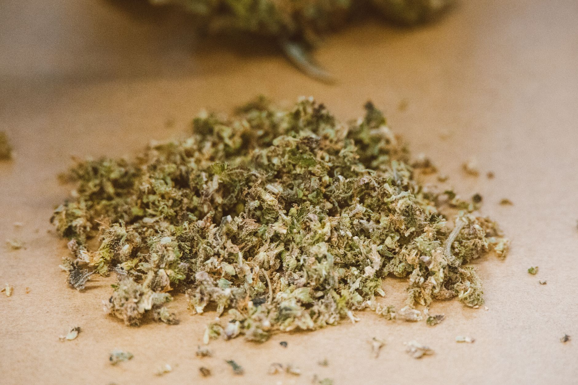 Detailed close-up of dried cannabis buds on a neutral background, highlighting texture and colors.
