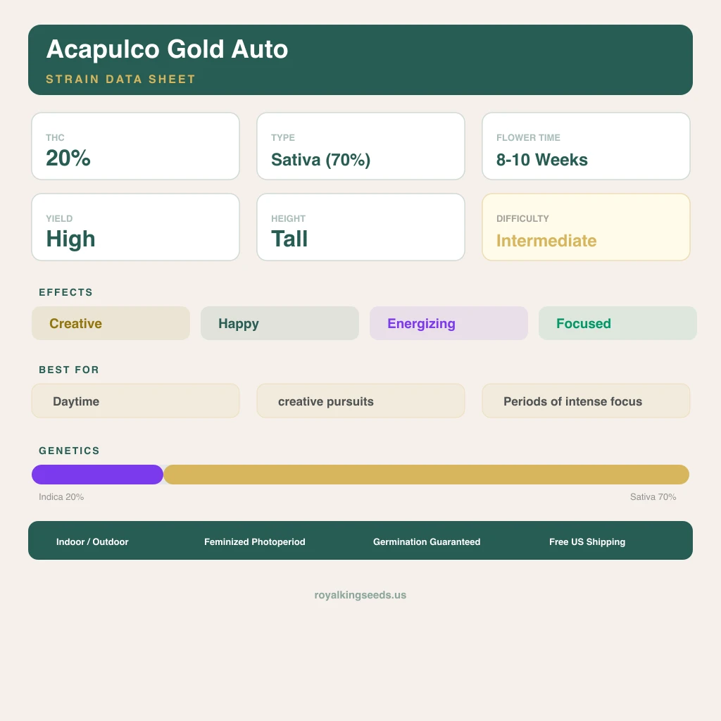 Acapulco Gold 20% indica / 70% sativa flower with visible trichomes