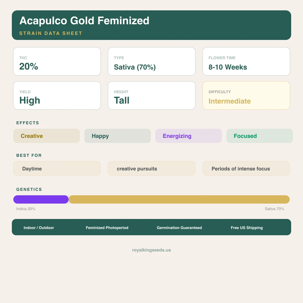 Acapulco Gold 20% indica / 70% sativa flower with visible trichomes