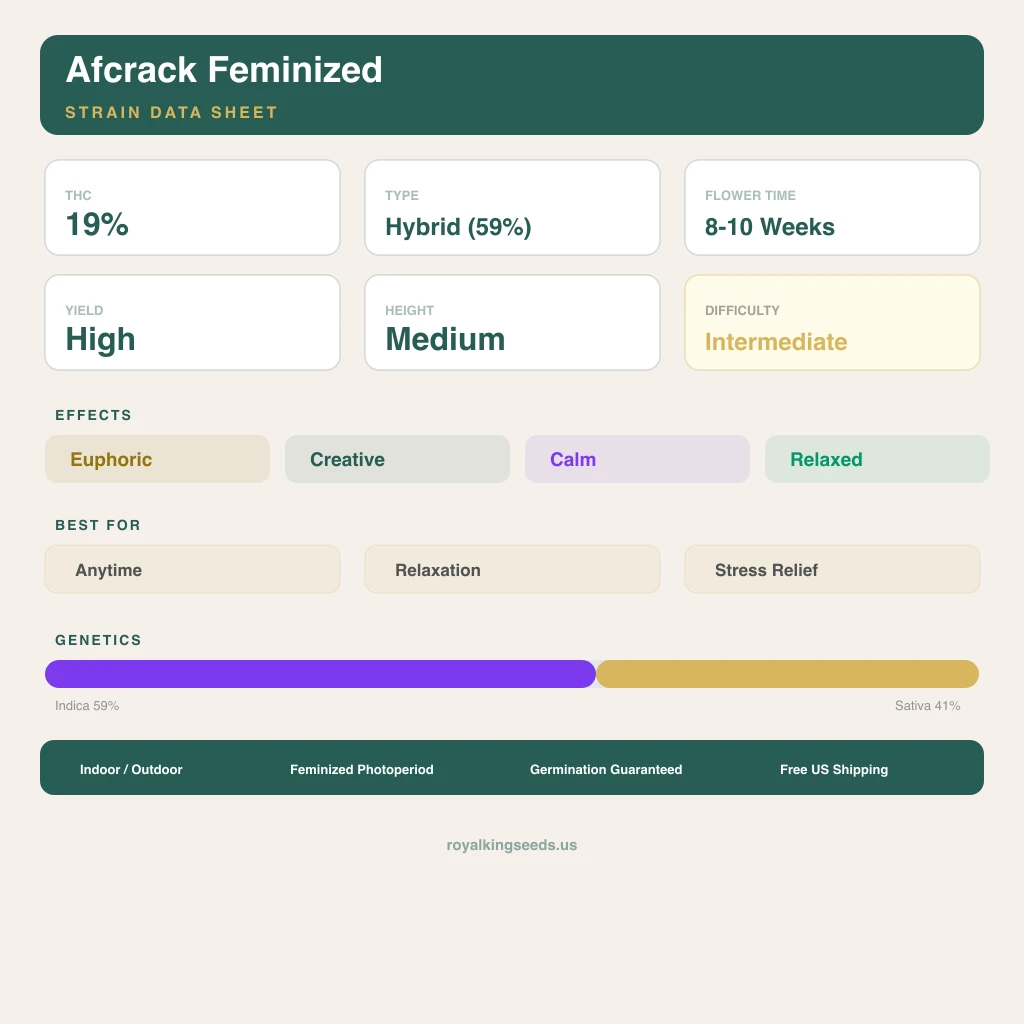 Afcrack 59% indica / 41% sativa flower with visible trichomes