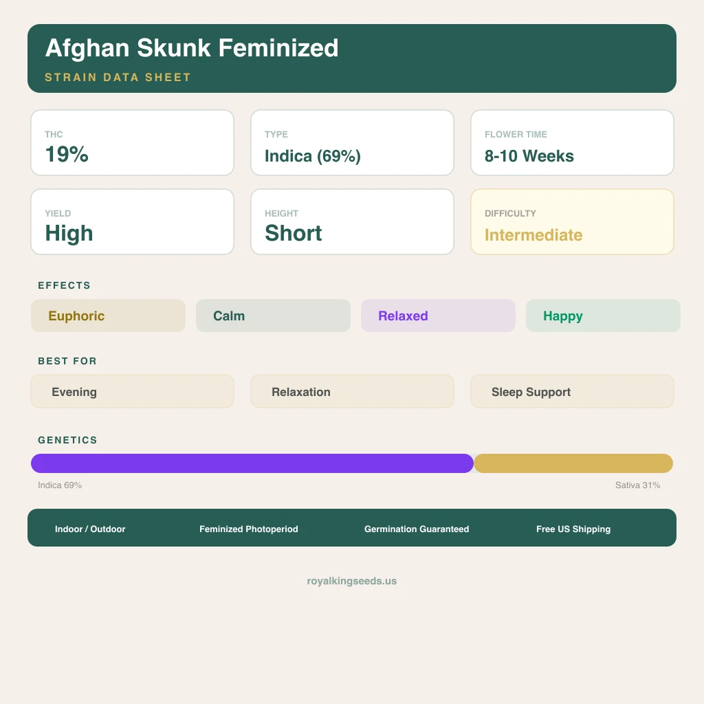 Afghan Skunk 69% indica / 31% sativa flower with visible trichomes