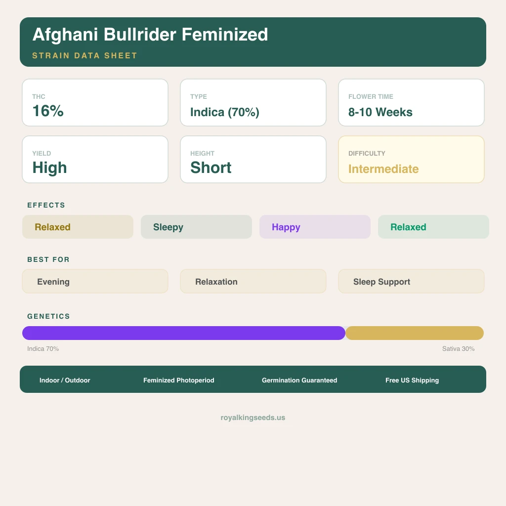 Afghani Bullrider 70% indica / 30% sativa flower with visible trichomes