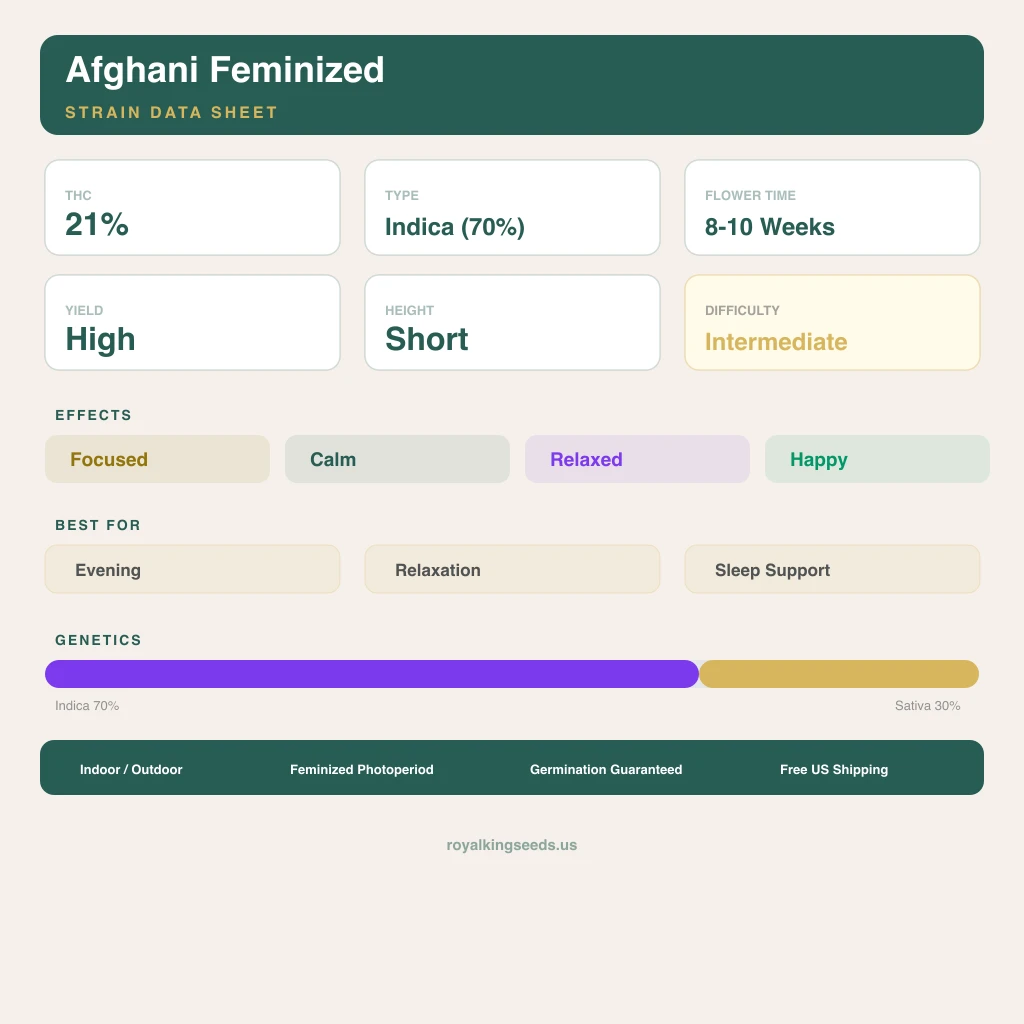 Afghani 70% indica / 30% sativa flower with visible trichomes