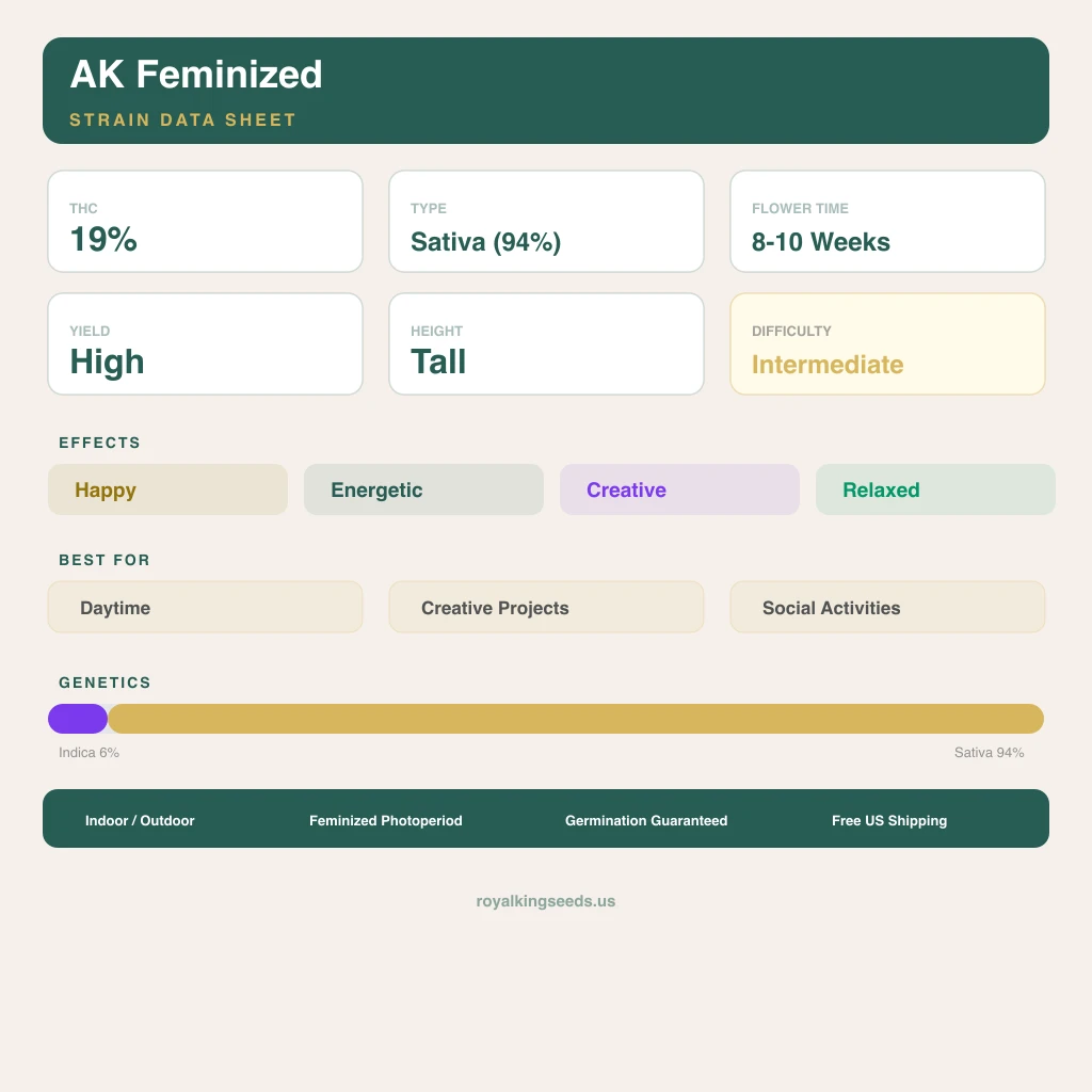 AK 6% indica / 94% sativa flower with visible trichomes