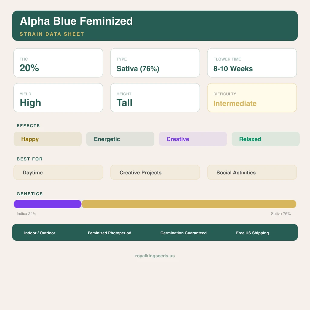 Alpha Blue 24% indica / 76% sativa flower with visible trichomes