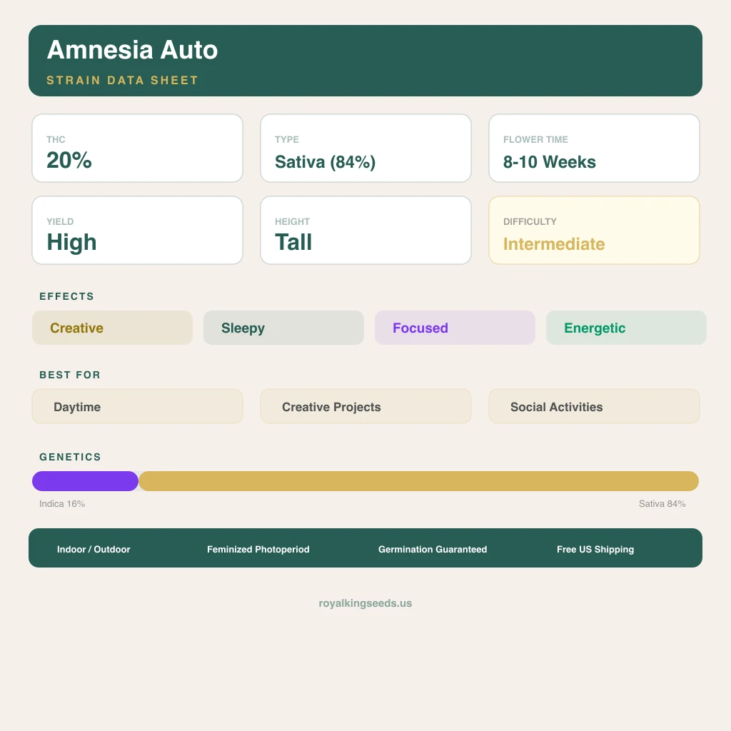 Amnesia 16% indica / 84% sativa flower with visible trichomes