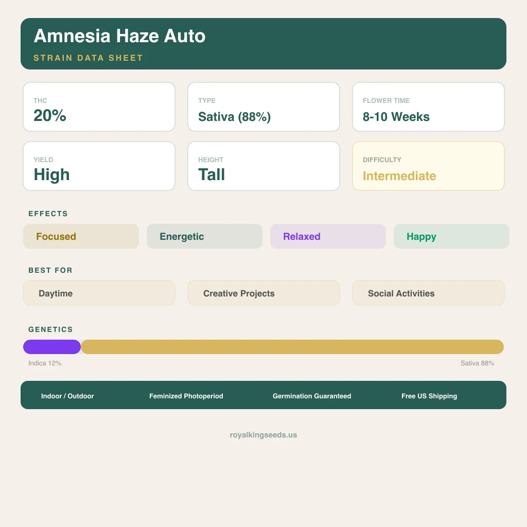 Amnesia Haze 12% indica / 88% sativa flower with visible trichomes