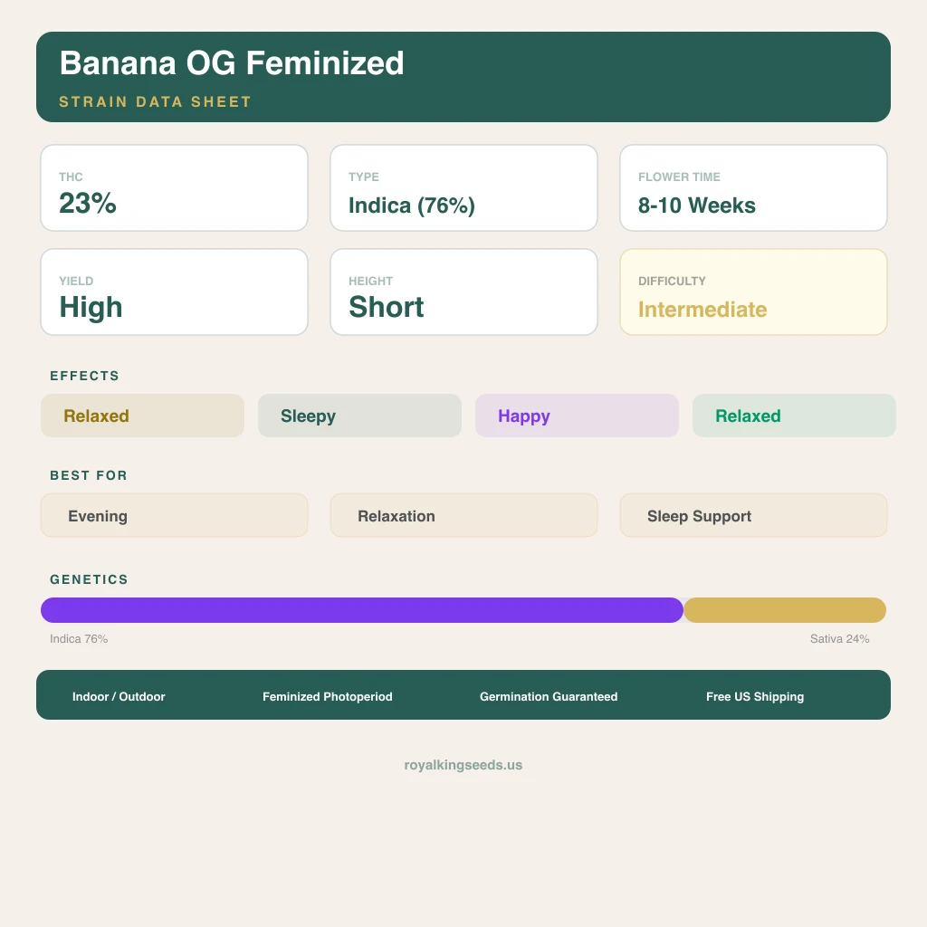 Banana OG 76% indica / 24% sativa flower with visible trichomes