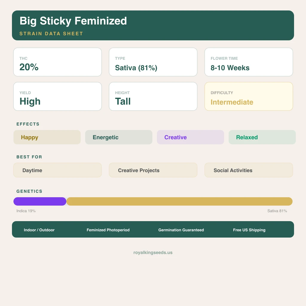 Big Sticky 19% indica / 81% sativa flower with visible trichomes