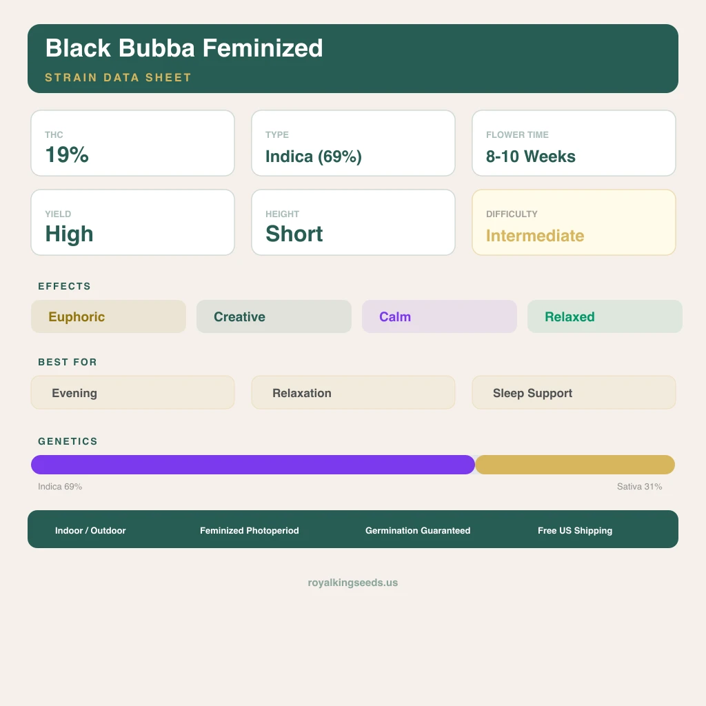 Black Bubba 69% indica / 31% sativa flower with visible trichomes