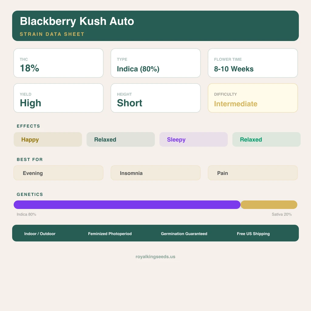 Blackberry Kush 80% indica / 20% sativa flower with visible trichomes