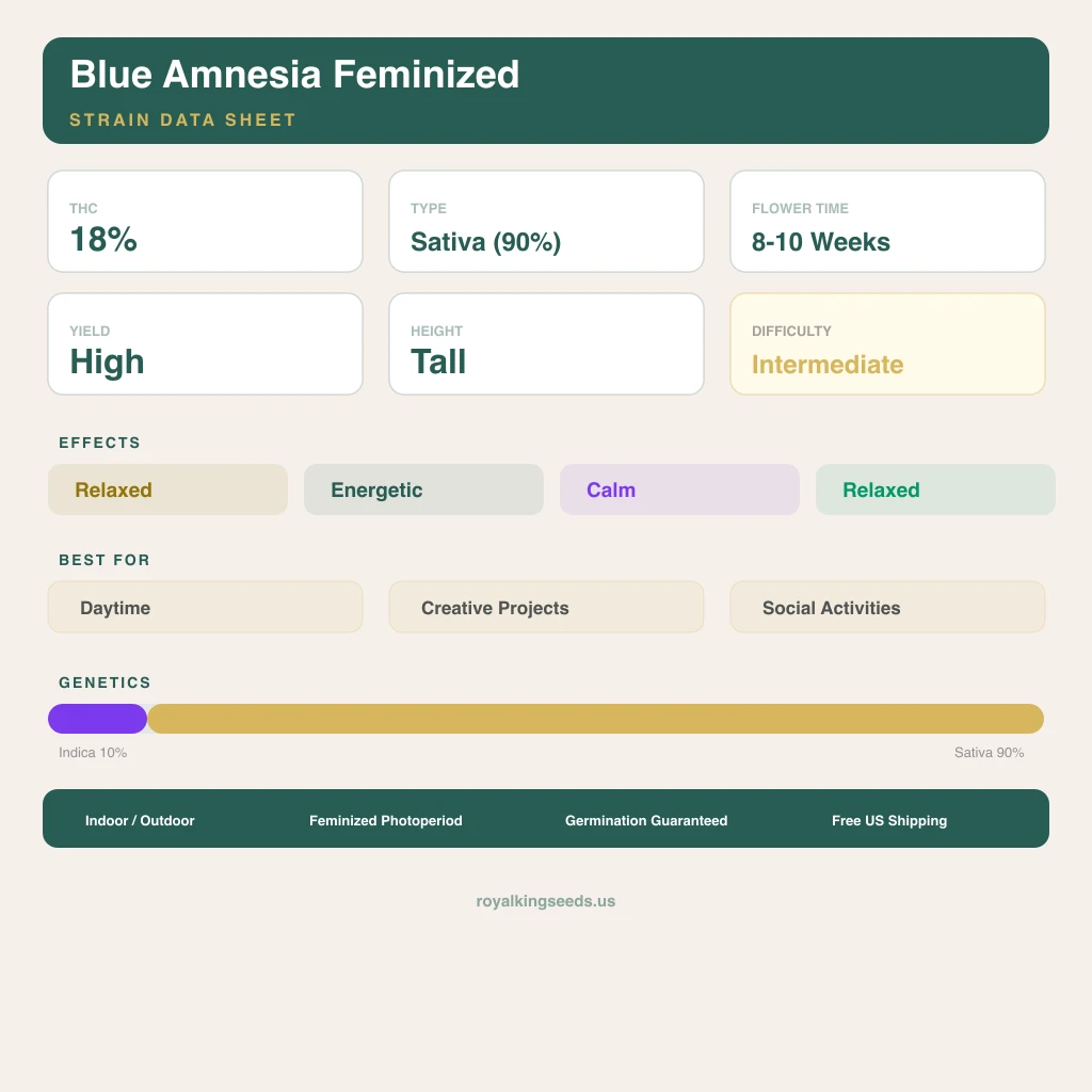 Blue Amnesia 10% indica / 90% sativa flower with visible trichomes