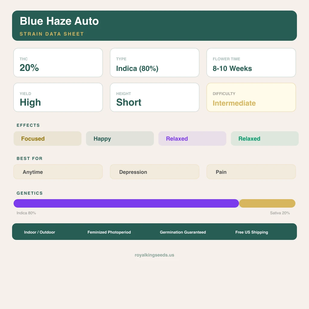 Blue Haze 80% indica / 20% sativa flower with visible trichomes