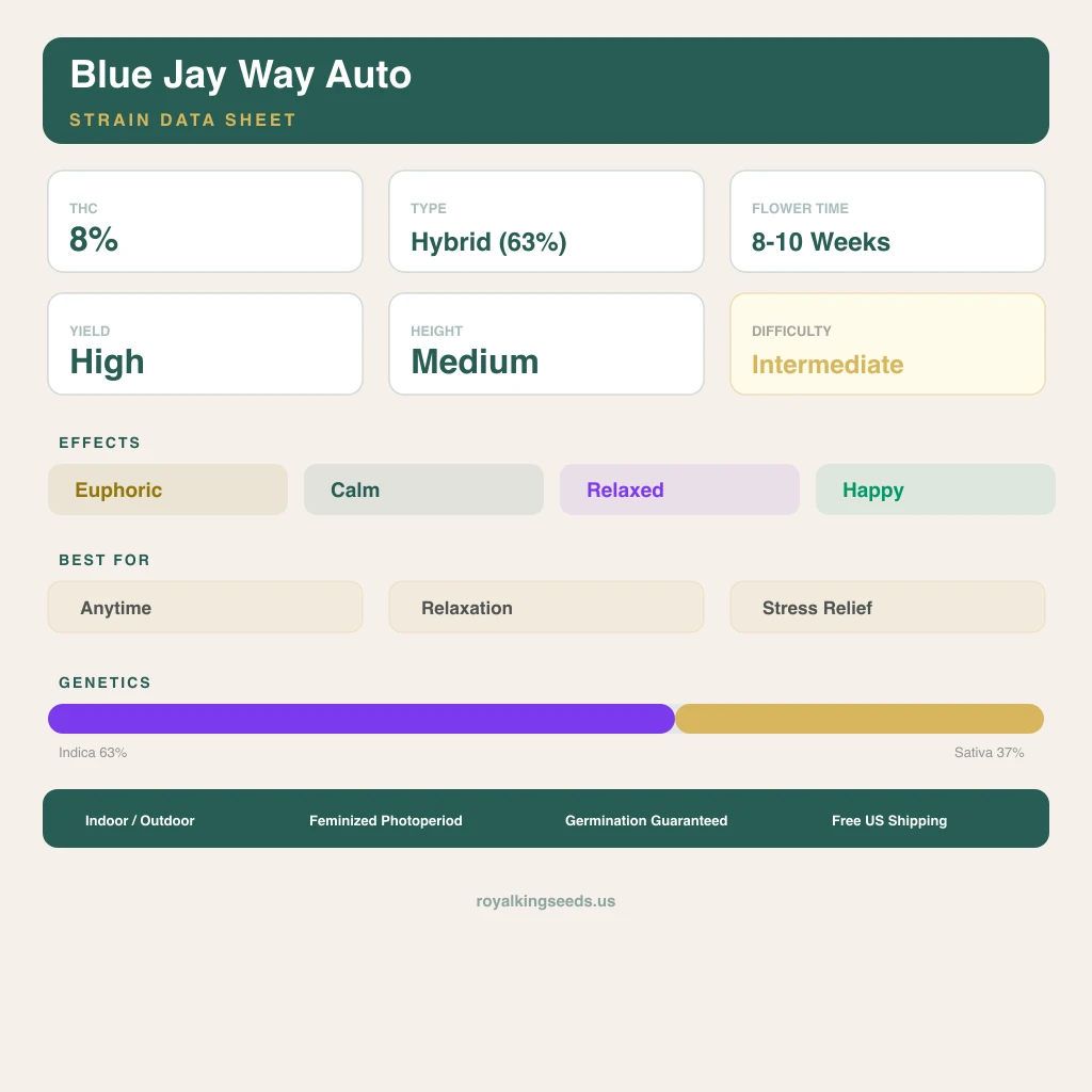 Blue Jay Way 63% indica / 37% sativa flower with visible trichomes