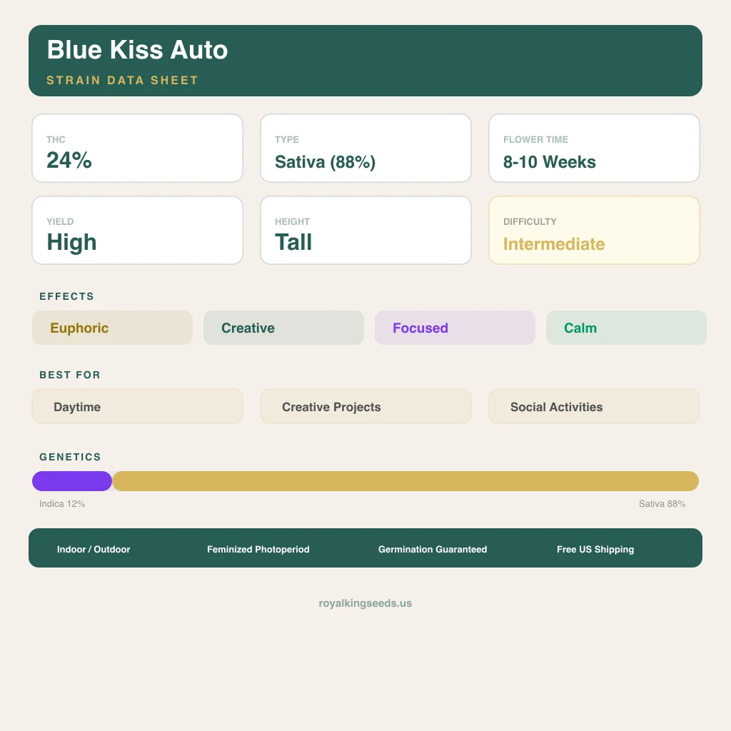 Blue Kiss 12% indica / 88% sativa flower with visible trichomes