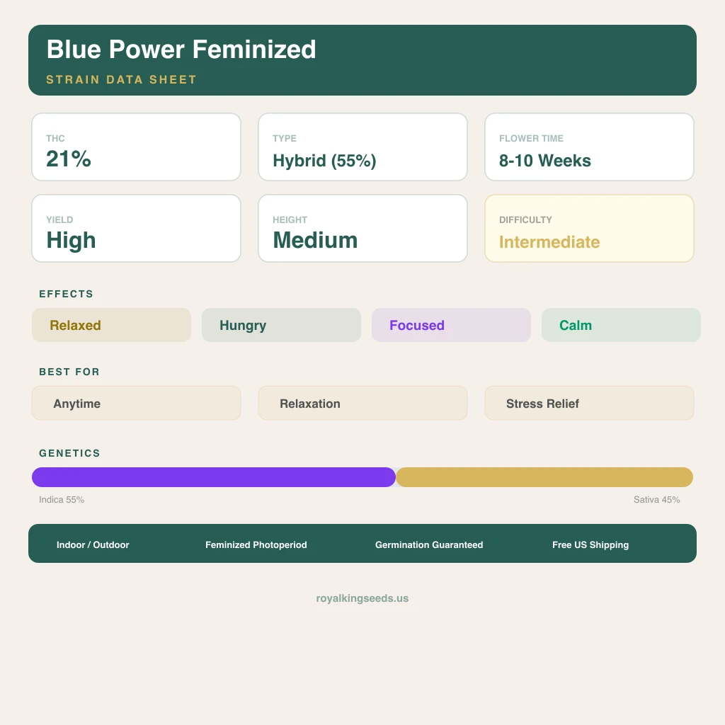 Blue Power 55% indica / 45% sativa flower with visible trichomes
