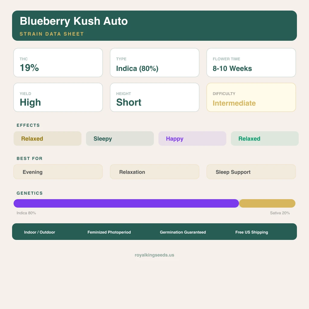 Blueberry Kush 80% indica / 20% sativa flower with visible trichomes