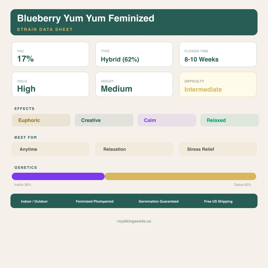 Blueberry Yum Yum 38% indica / 62% sativa flower with visible trichomes