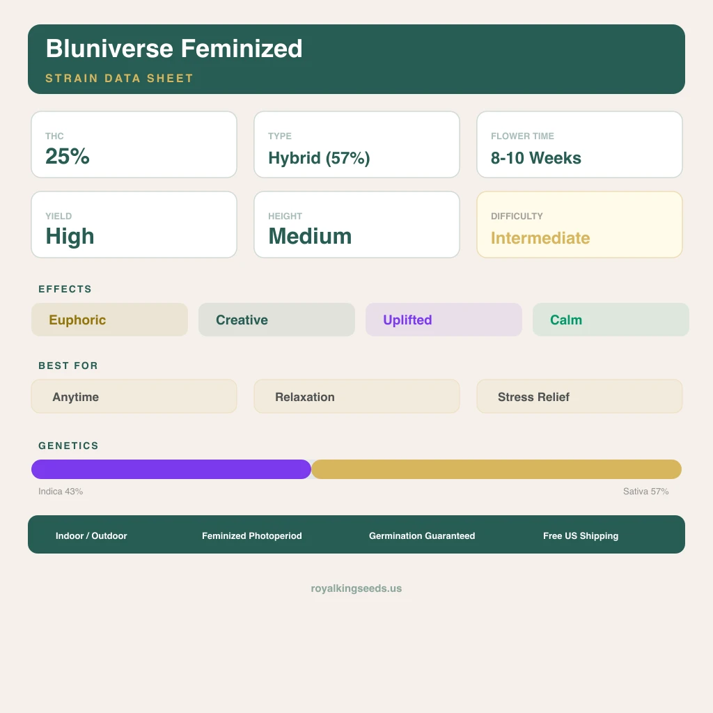 Bluniverse 43% indica / 57% sativa flower with visible trichomes