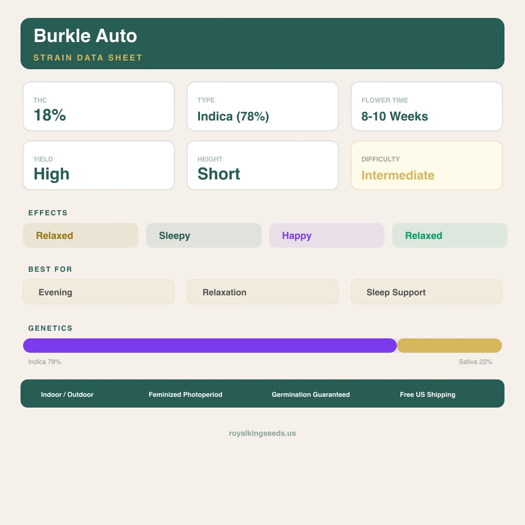 Burkle 78% indica / 22% sativa flower with visible trichomes