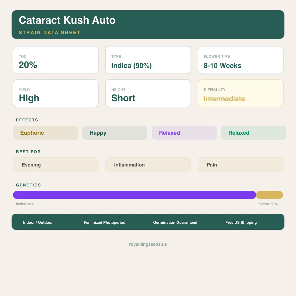 Cataract Kush 90% indica / 50% sativa flower with visible trichomes