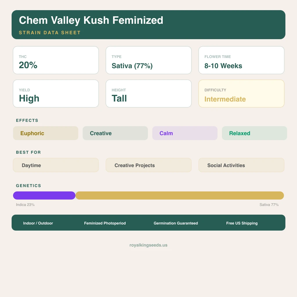 Chem Valley Kush 23% indica / 77% sativa flower with visible trichomes