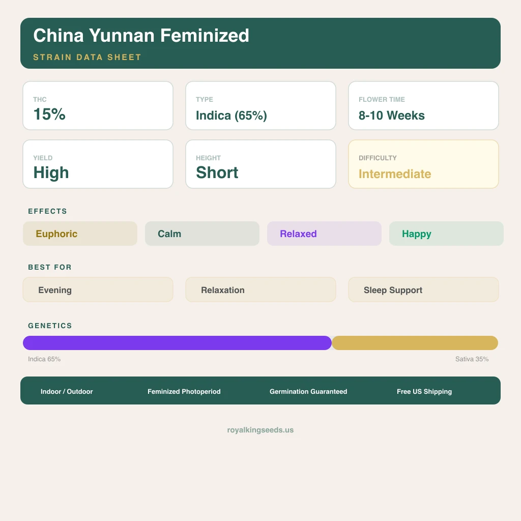 China Yunnan 65% indica / 35% sativa flower with visible trichomes
