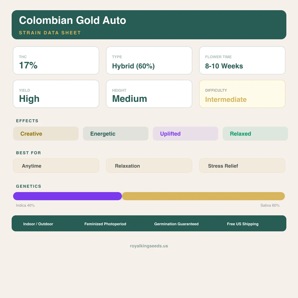 Colombian Gold 40% indica / 60% sativa flower with visible trichomes