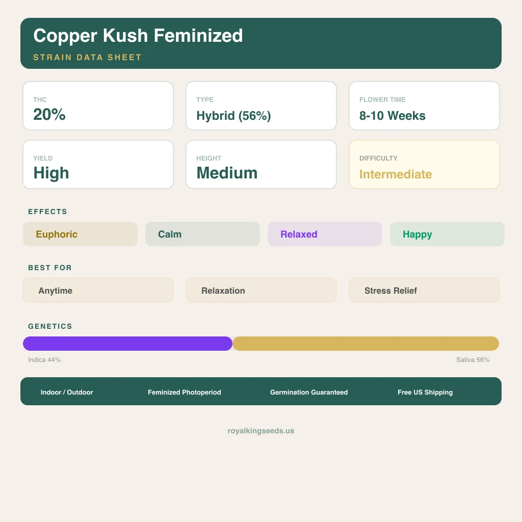 Copper Kush 44% indica / 56% sativa flower with visible trichomes