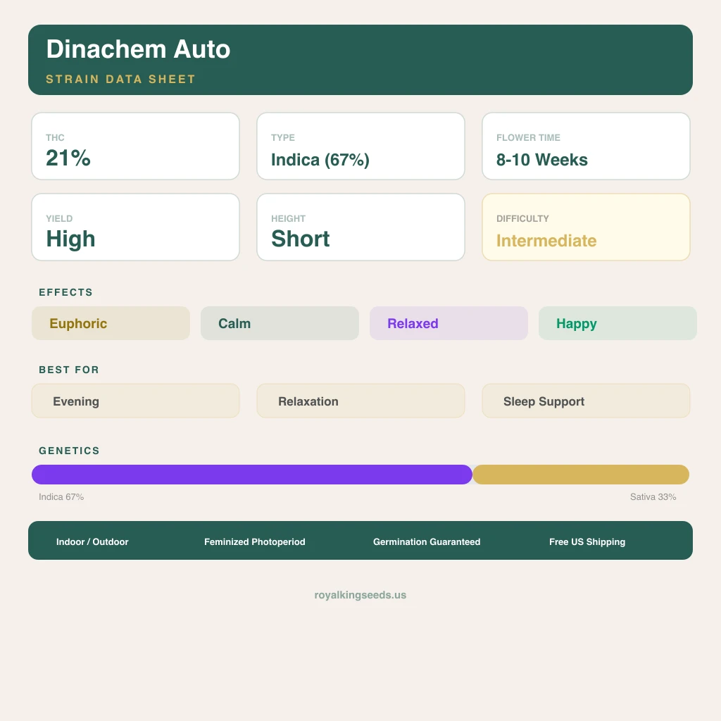 Dinachem 67% indica / 33% sativa flower with visible trichomes