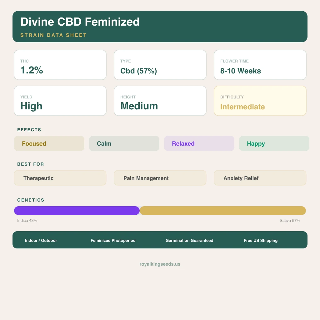 Divine CBD 43% indica / 57% sativa flower with visible trichomes