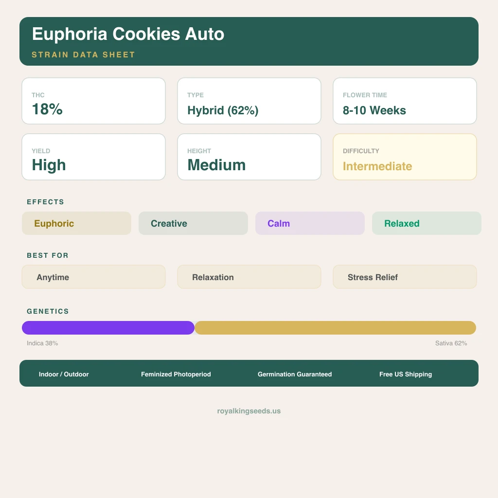 Euphoria Cookies 38% indica / 62% sativa flower with visible trichomes