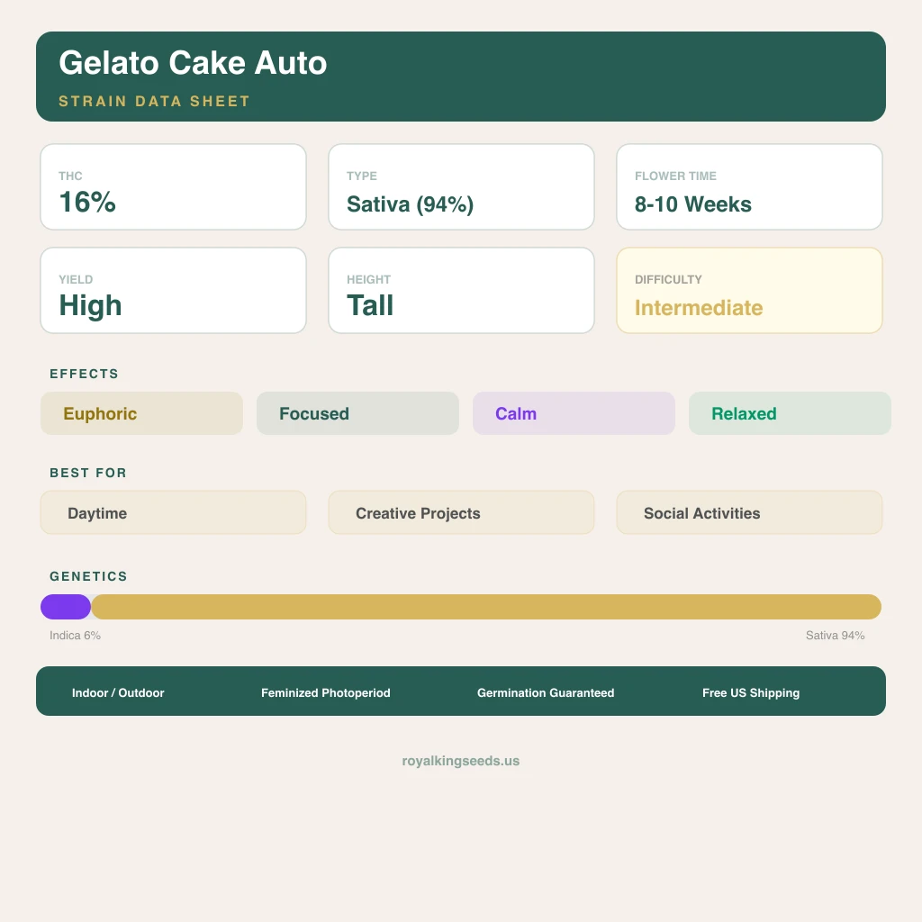 Gelato Cake 6% indica / 94% sativa flower with visible trichomes