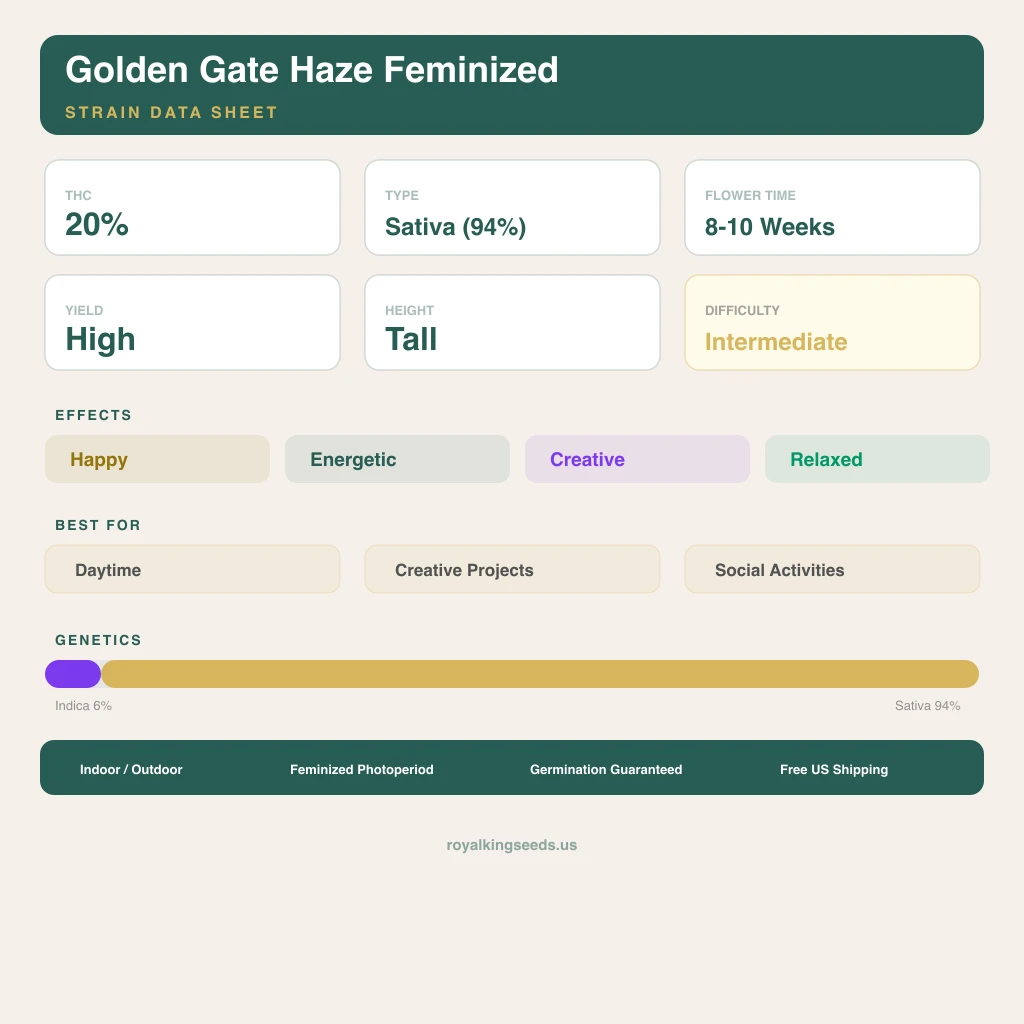 Golden Gate Haze 6% indica / 94% sativa flower with visible trichomes