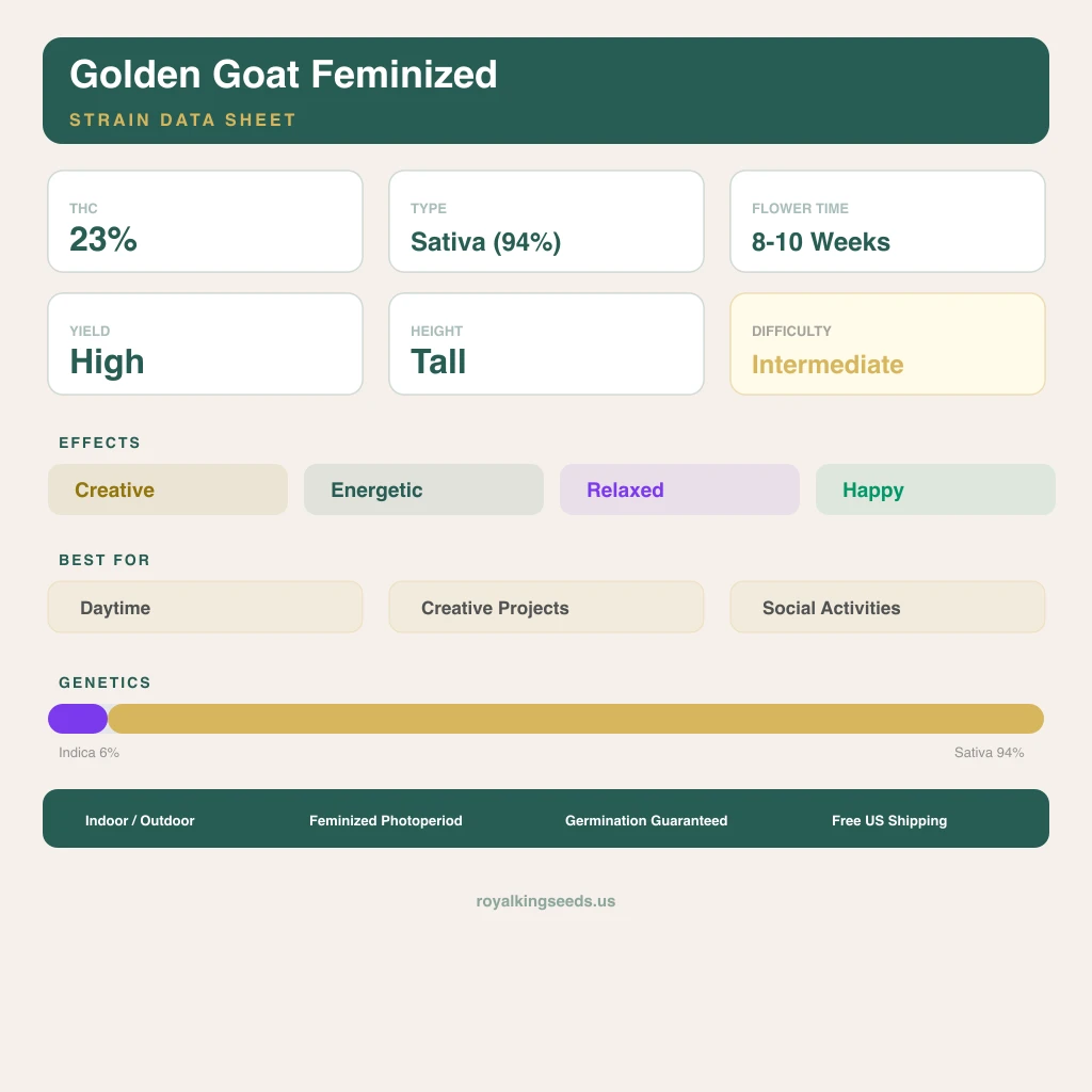 Golden Goat 6% indica / 94% sativa flower with visible trichomes