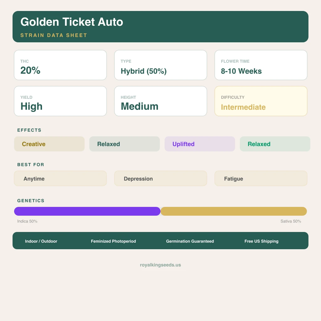 Golden Ticket 50% indica / 50% sativa flower with visible trichomes