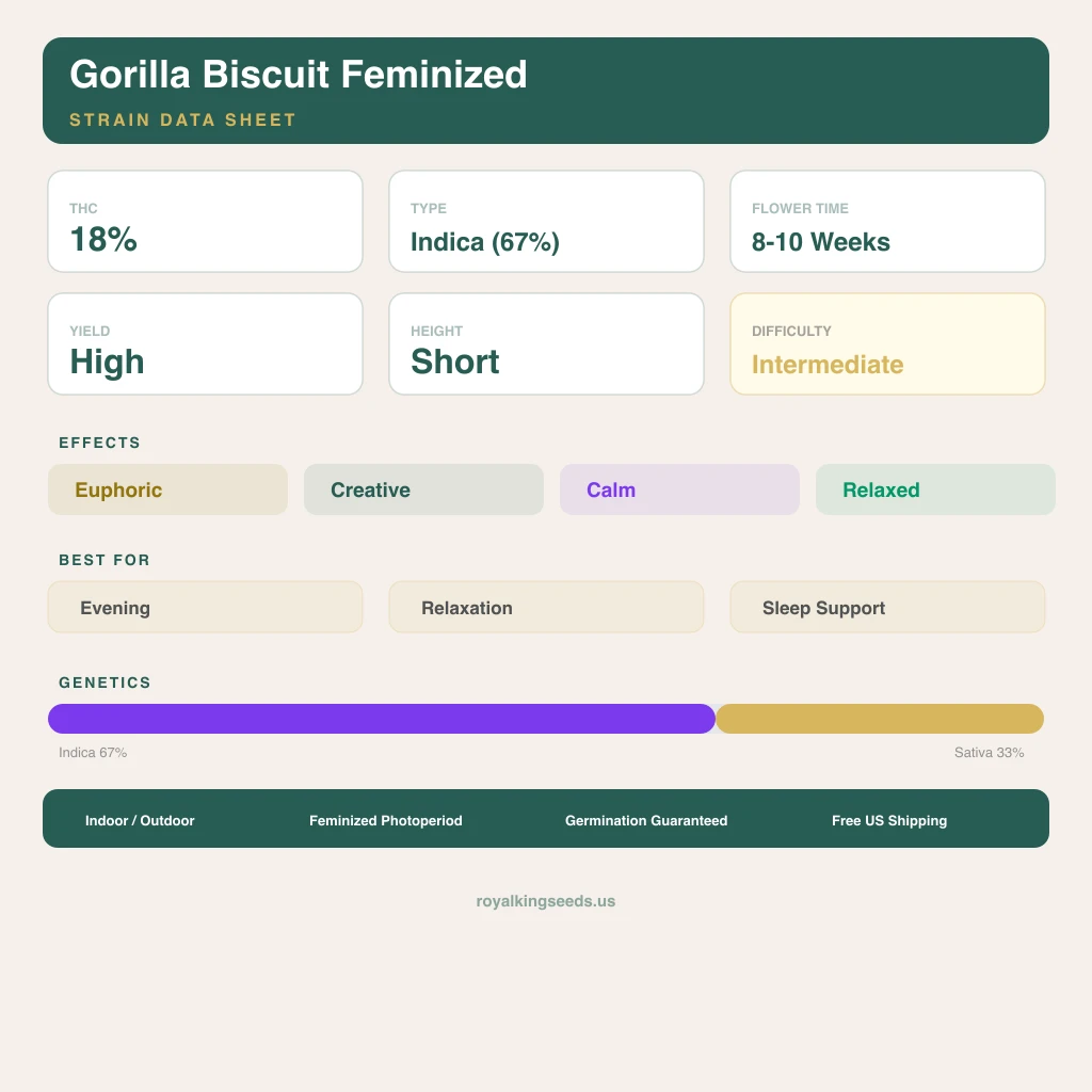 Gorilla Biscuit 67% indica / 33% sativa flower with visible trichomes