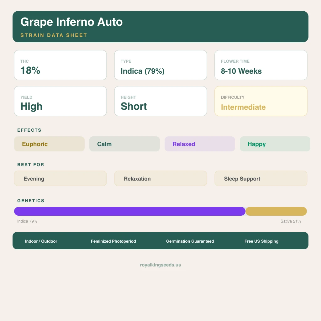 Grape Inferno 79% indica / 21% sativa flower with visible trichomes