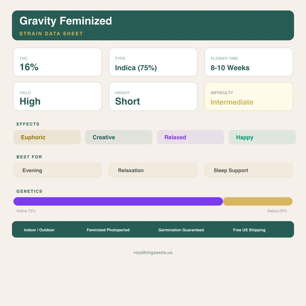 Gravity 75% indica / 25% sativa flower with visible trichomes