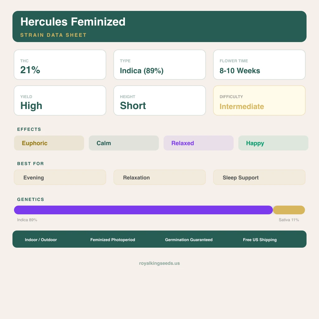 Hercules 89% indica / 11% sativa flower with visible trichomes