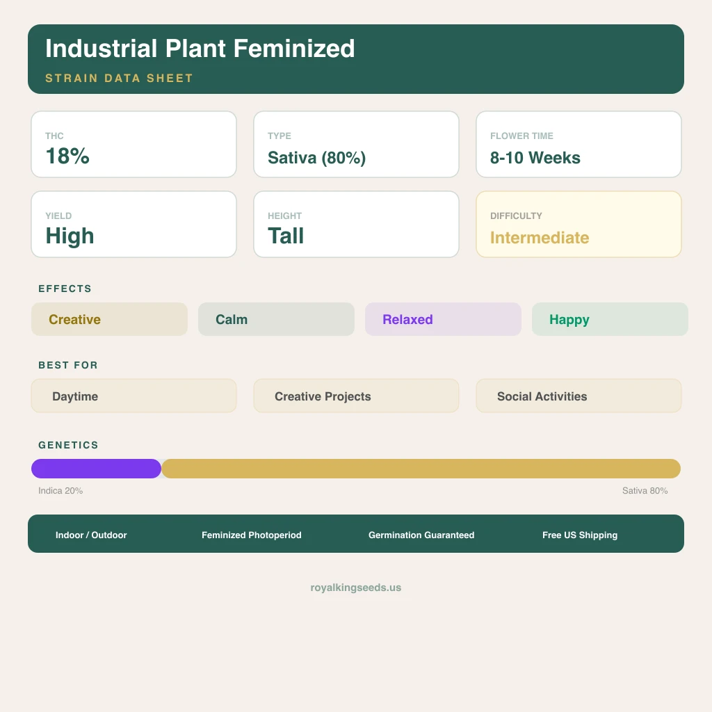 Industrial Plant 20% indica / 80% sativa flower with visible trichomes