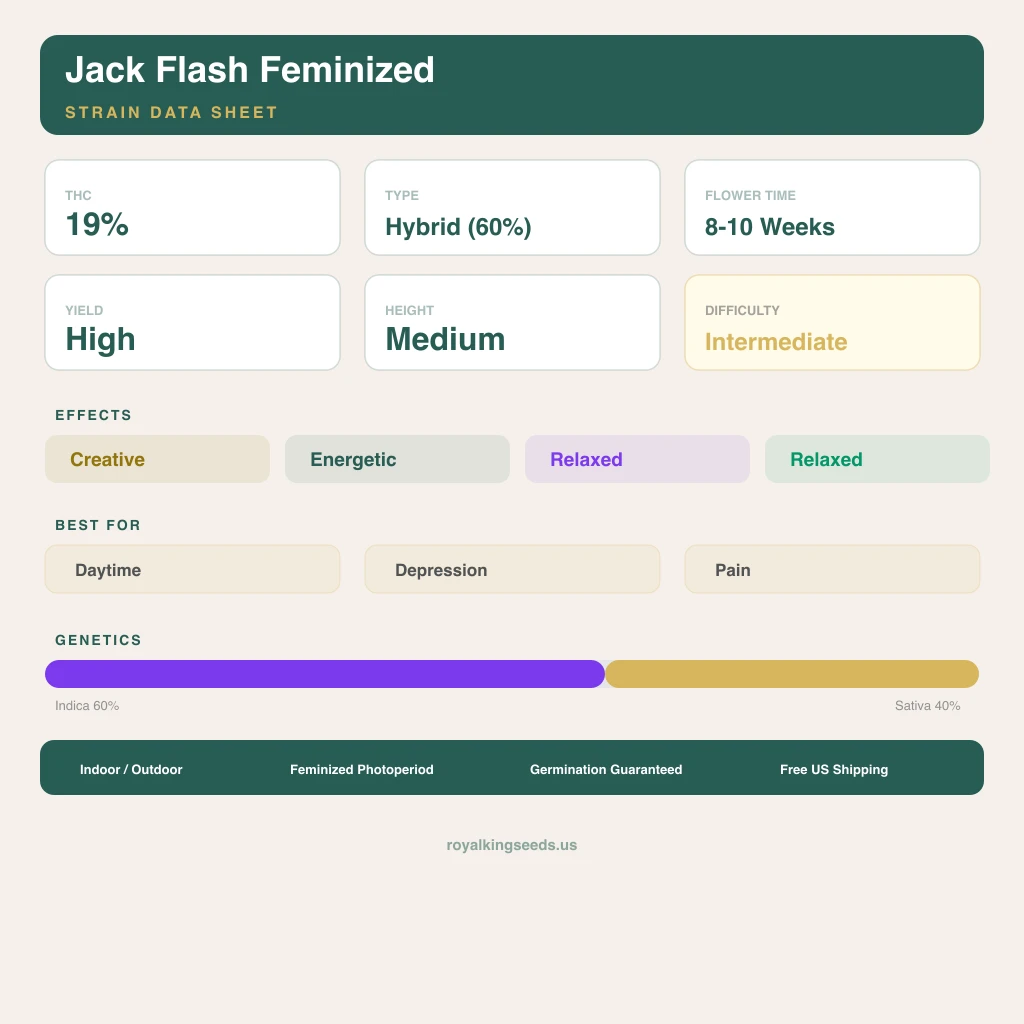Jack Flash 60% indica / 40% sativa flower with visible trichomes