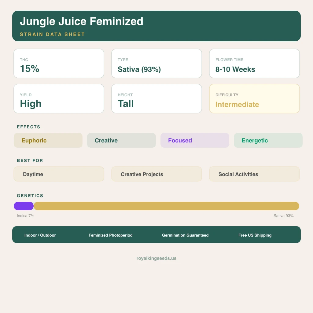 Jungle Juice 7% indica / 93% sativa flower with visible trichomes
