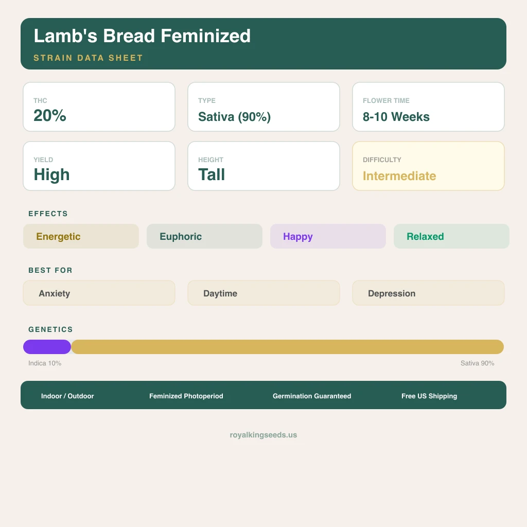 Lamb's Bread 10% indica / 90% sativa flower with visible trichomes