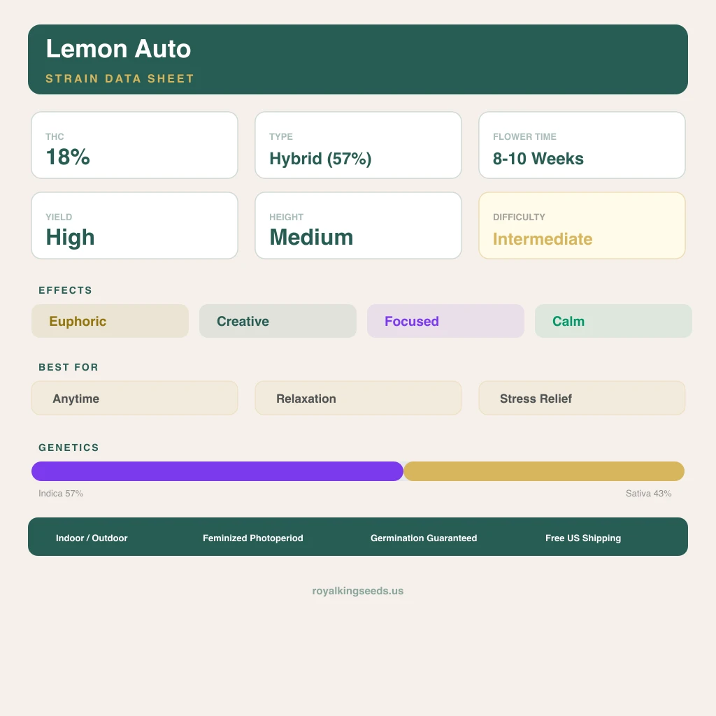 Lemon 57% indica / 43% sativa flower with visible trichomes