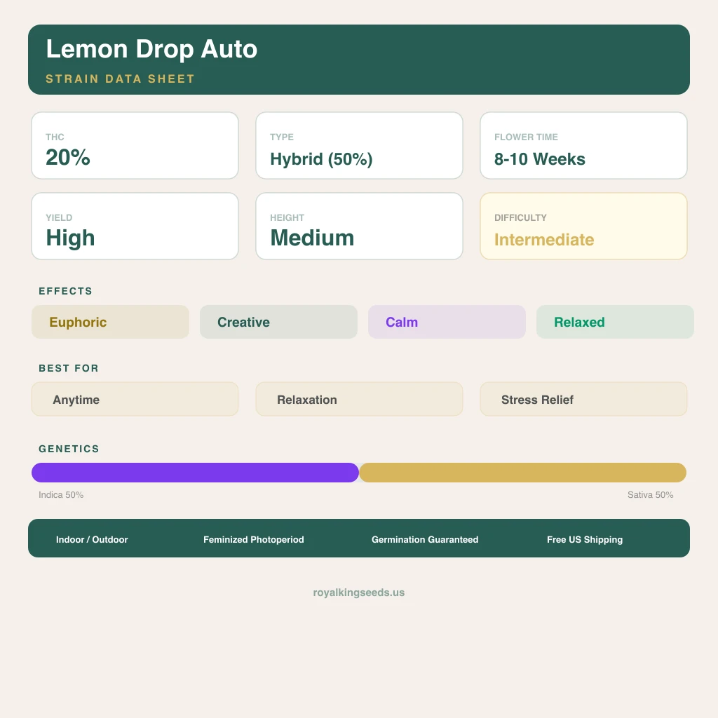 Lemon Drop 50% indica / 50% sativa flower with visible trichomes