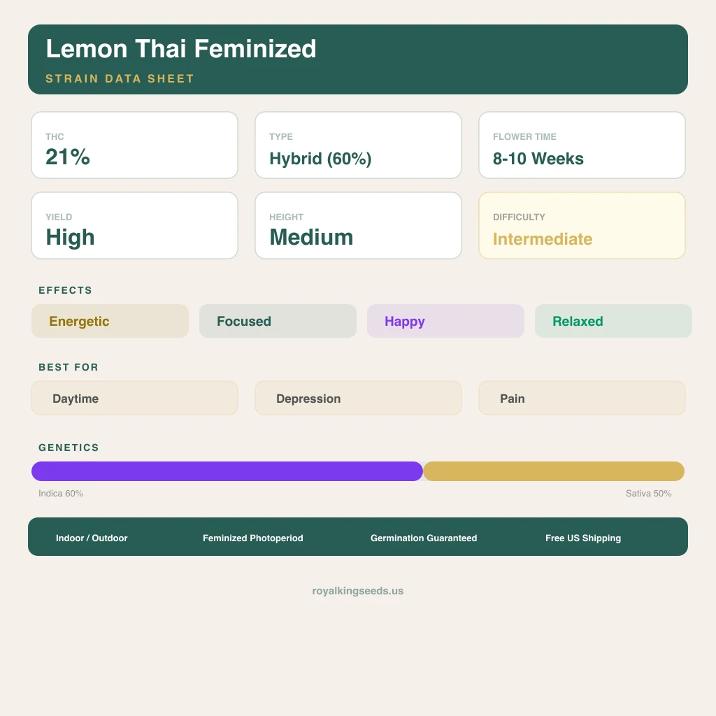 Lemon Thai 60% indica / 50% sativa flower with visible trichomes