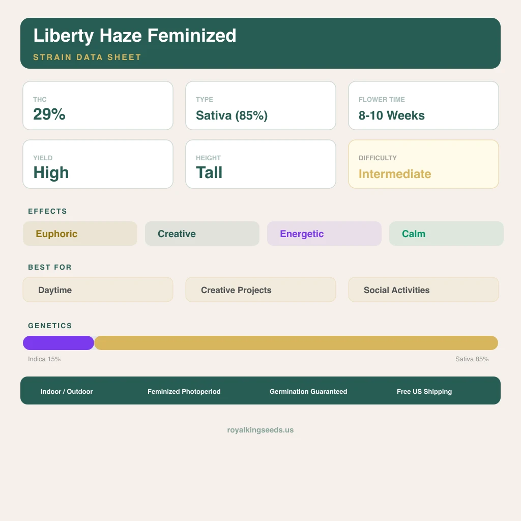 Liberty Haze 15% indica / 85% sativa flower with visible trichomes