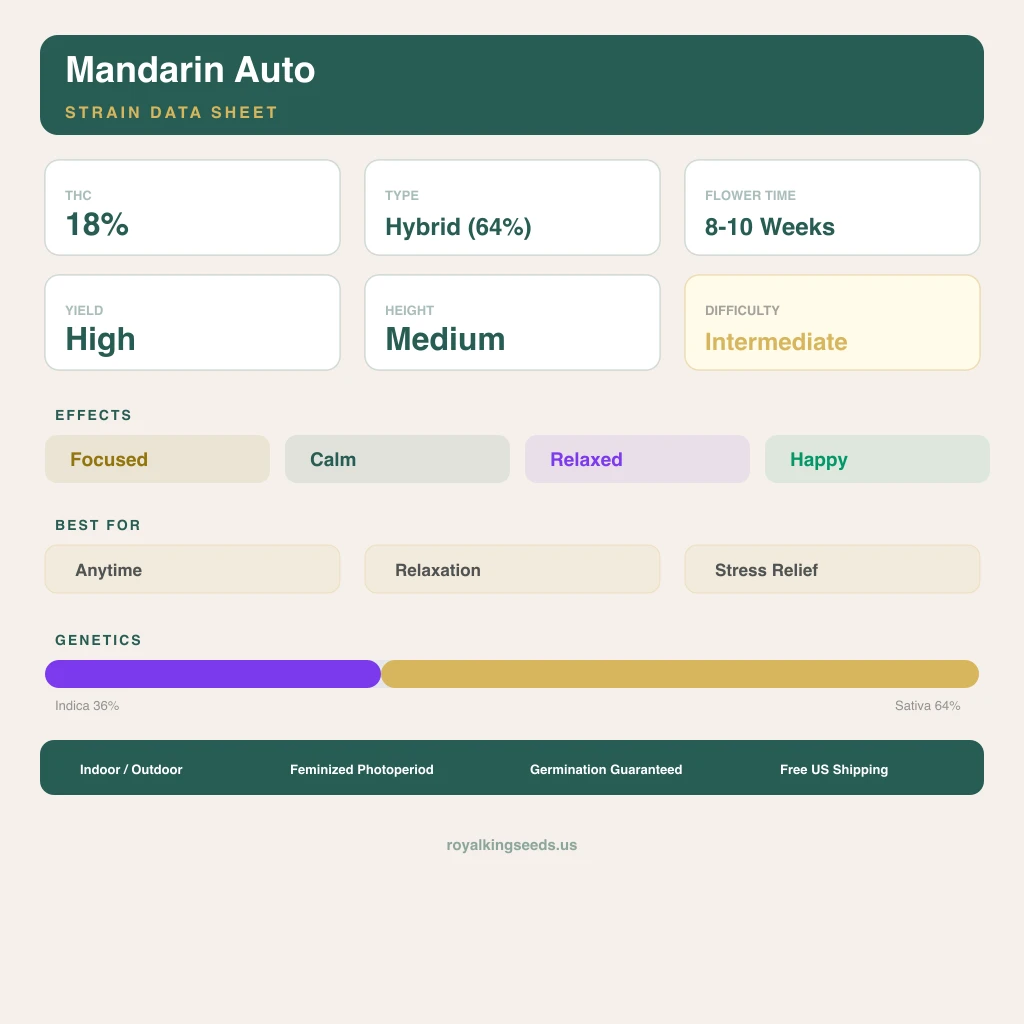 Mandarin 36% indica / 64% sativa flower with visible trichomes